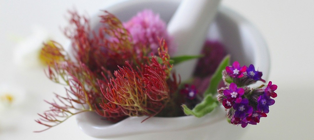 Natural Remedies For Healthy Teeth